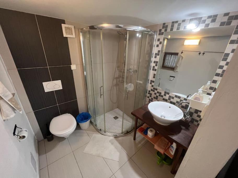 Stefanka Apartment Old Town Bratislava Dış mekan fotoğraf
