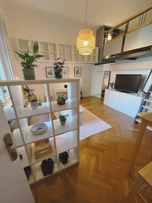 Stefanka Apartment Old Town Bratislava Dış mekan fotoğraf